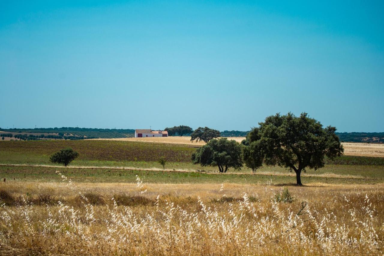Casa Branca Casa Brazao Mira (Adults Only) Bed & Breakfast エクステリア 写真